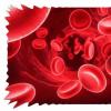 Гематоген – «кровавое» лакомство из аптеки: чем он полезен и кому может навредить?