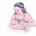 Как правильно прикладывать ребенка к груди при грудном вскармливании Как правильно давать малышу грудь