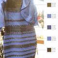 Неврологи попытались объяснить феномен чёрно-синего платья